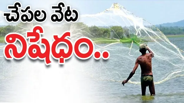 చేపల వేట నిషేధం