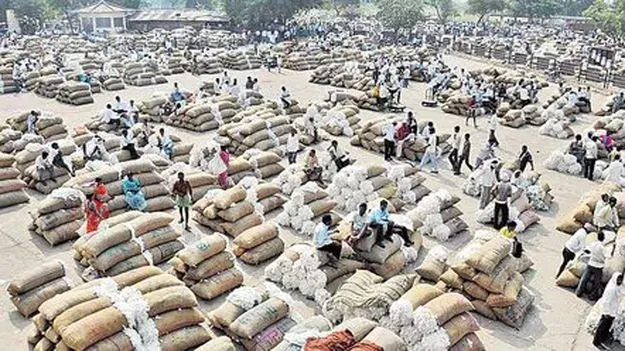 పెరిగిన పత్తి, మక్కల ధరలు