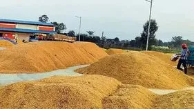 మళ్లీ పెరిగిన ఆర్‌ఎన్‌ఆర్‌ ధాన్యం ధర