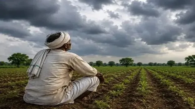 ఎల్‌నినో దెబ్బతో అరకొర వానలు