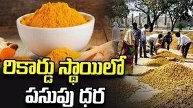 రికార్డు స్థాయిలో పసుపు ధర