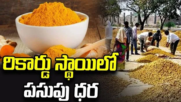 రికార్డు స్థాయిలో పసుపు ధర