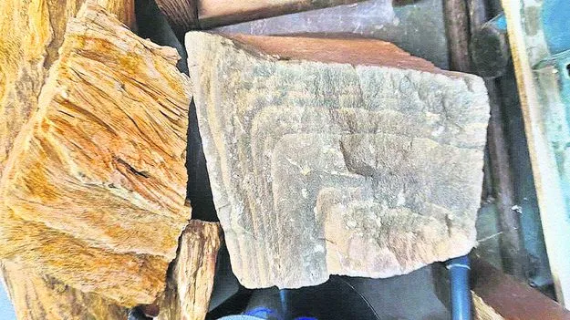 గోదావరి తీరాన పురాతన అవశేషాలు