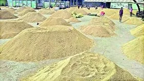 ధాన్యం.. ఆల్‌టైం రికార్డు ధర
