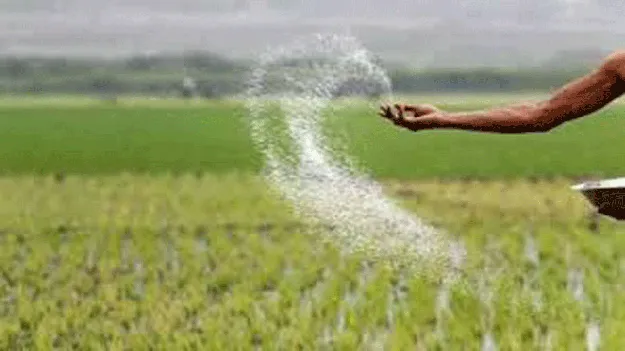  ఎరువు..బరువా ?