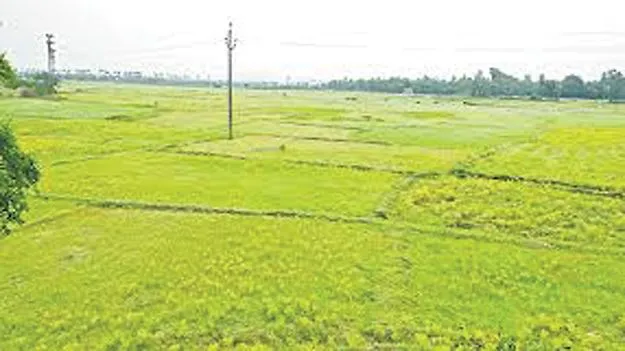 ఇనామ్‌కు విముక్తి!