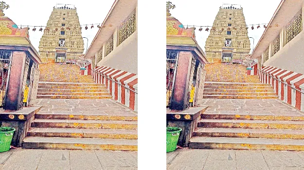 శ్రీవారి ఆలయానికి అమావాస్య ఎఫెక్ట్‌
