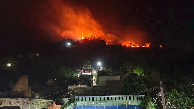 కొండలు మండుతున్నాయ్‌!