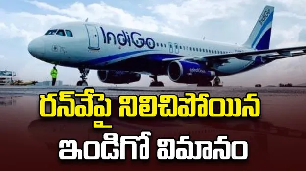 సడన్‌‌గా నిలిచిన ఇండిగో విమానం.. ఫ్లైట్‌లో ఎమ్మెల్యే యార్లగడ్డ