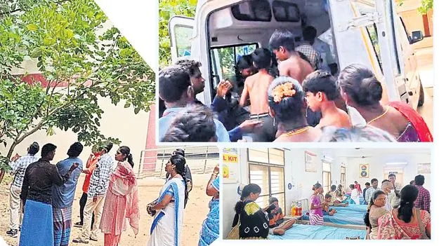 Insects: కీటకాలు కుట్టి అలర్జీ, మంటలు