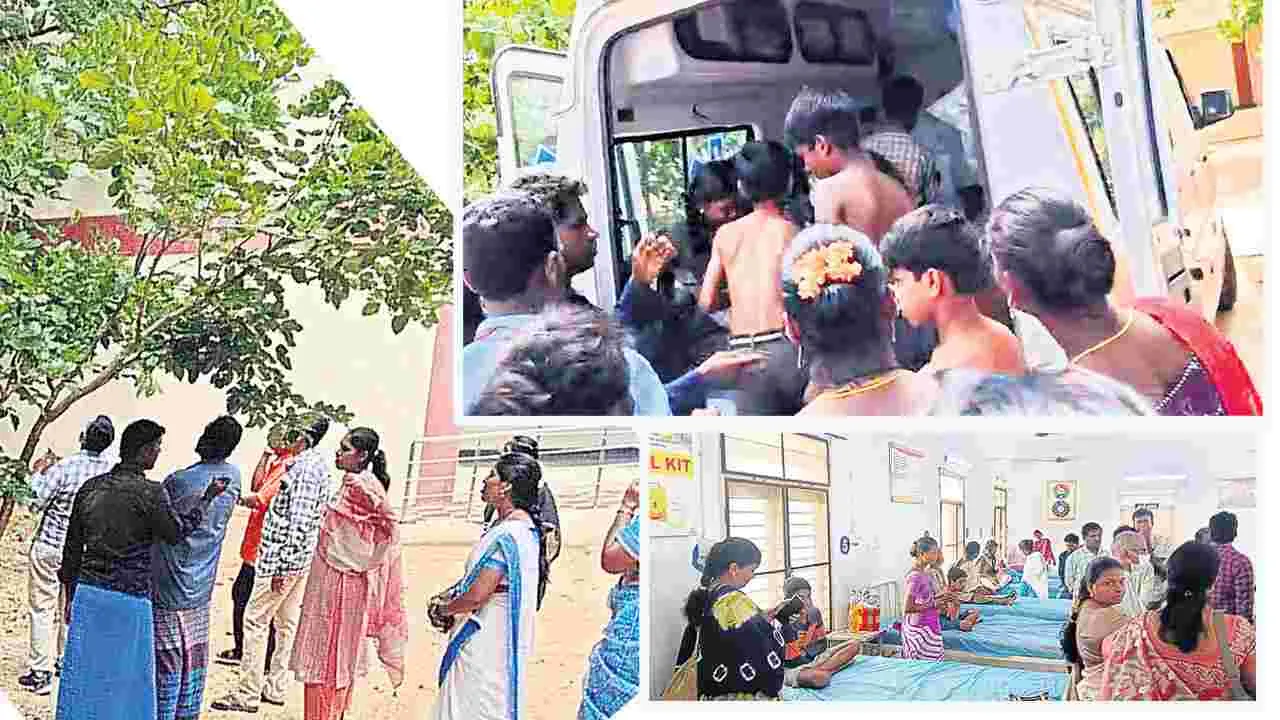 Insects: కీటకాలు కుట్టి అలర్జీ, మంటలు