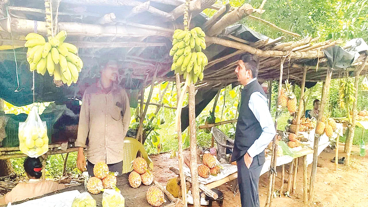 Pineapple  పైనాపిల్‌కు మద్దతుధర కల్పిస్తాం