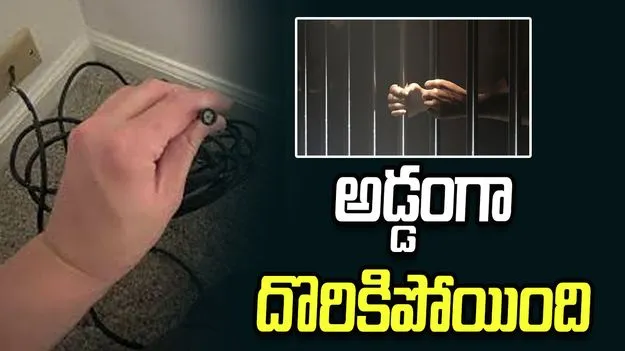 సీసీటీవీ కెమెరా వైర్ అనుకుని కేబుల్ వైర్ కట్ చేసింది.. అంతే..