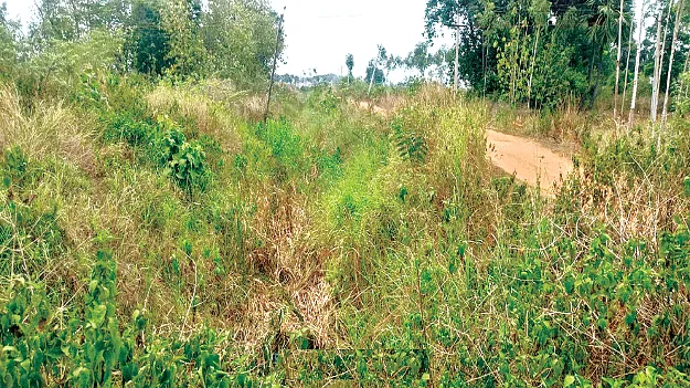  How Will Water Be Supplied? పనులు పూర్తికాలే..  నీరెలా ఇస్తారు?