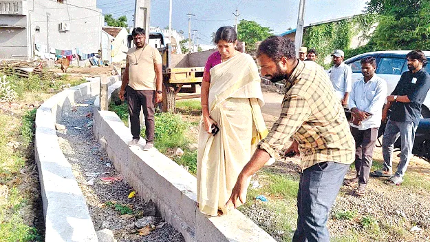   Pedapenki పెదపెంకిలో అభివృద్ధి పనులపై ఆరా  