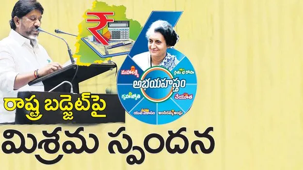బడ్జెట్‌పై మిశ్రమ స్పందన