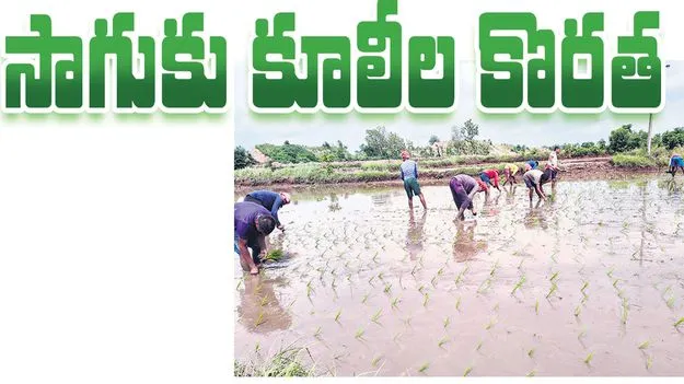 సాగుకు కూలీల కొరత