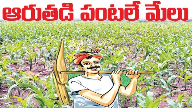 ఆరుతడి పంటలే మేలు