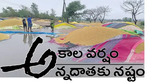 అకాల వర్షం.. అన్నదాతకు నష్టం