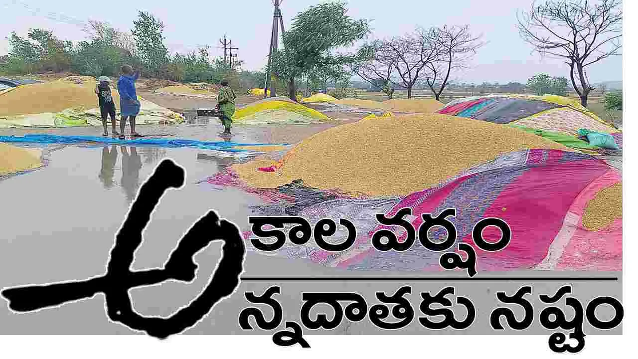 అకాల వర్షం.. అన్నదాతకు నష్టం