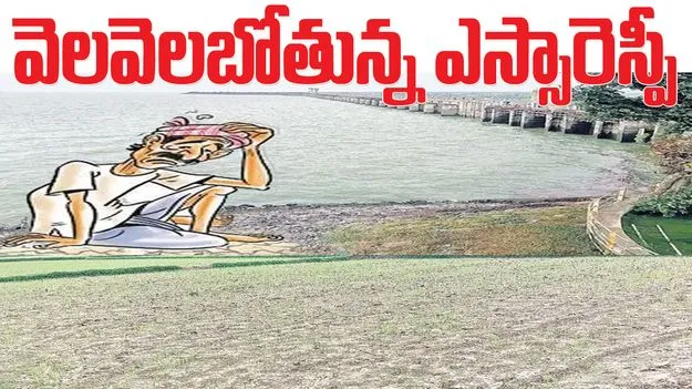 వెలవెలబోతున్న ఎస్సారెస్పీ
