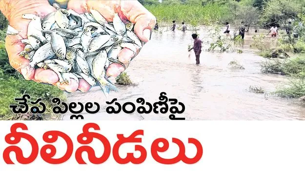 చేప పిల్లల పంపిణీపై నీలినీడలు
