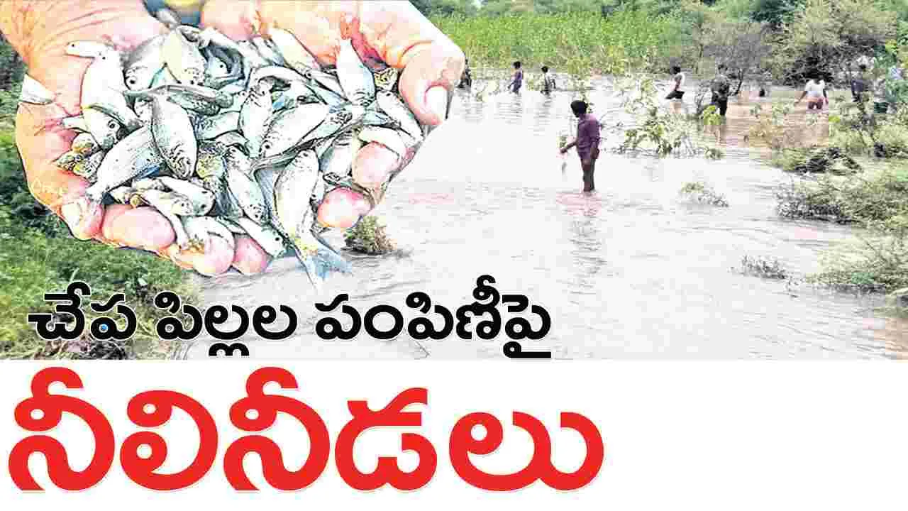 చేప పిల్లల పంపిణీపై నీలినీడలు