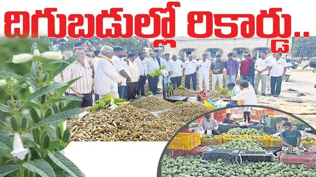  దిగుబడుల్లో రికార్డు