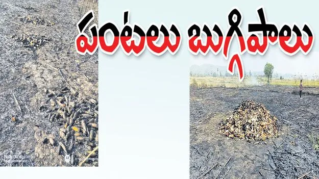 Jagitiala :  పంటలు బుగ్గిపాలు