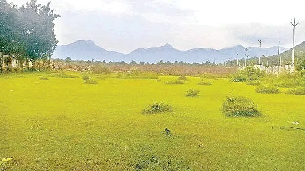 వారికి నచ్చితే అంతా సక్రమమే