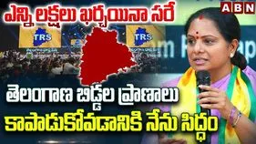 కొత్త రాజకీయ శక్తిగా వస్తామని చెప్పాం.. వచ్చాం: కవిత