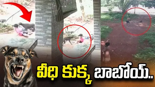 చిన్నారిపై వీధి కుక్క దాడి.. కాపాడేందుకు మెుదటి అంతస్తు నుంచి దూకిన సోదరుడు..