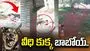 చిన్నారిపై వీధి కుక్క దాడి.. కాపాడేందుకు మెుదటి అంతస్తు నుంచి దూకిన సోదరుడు..
