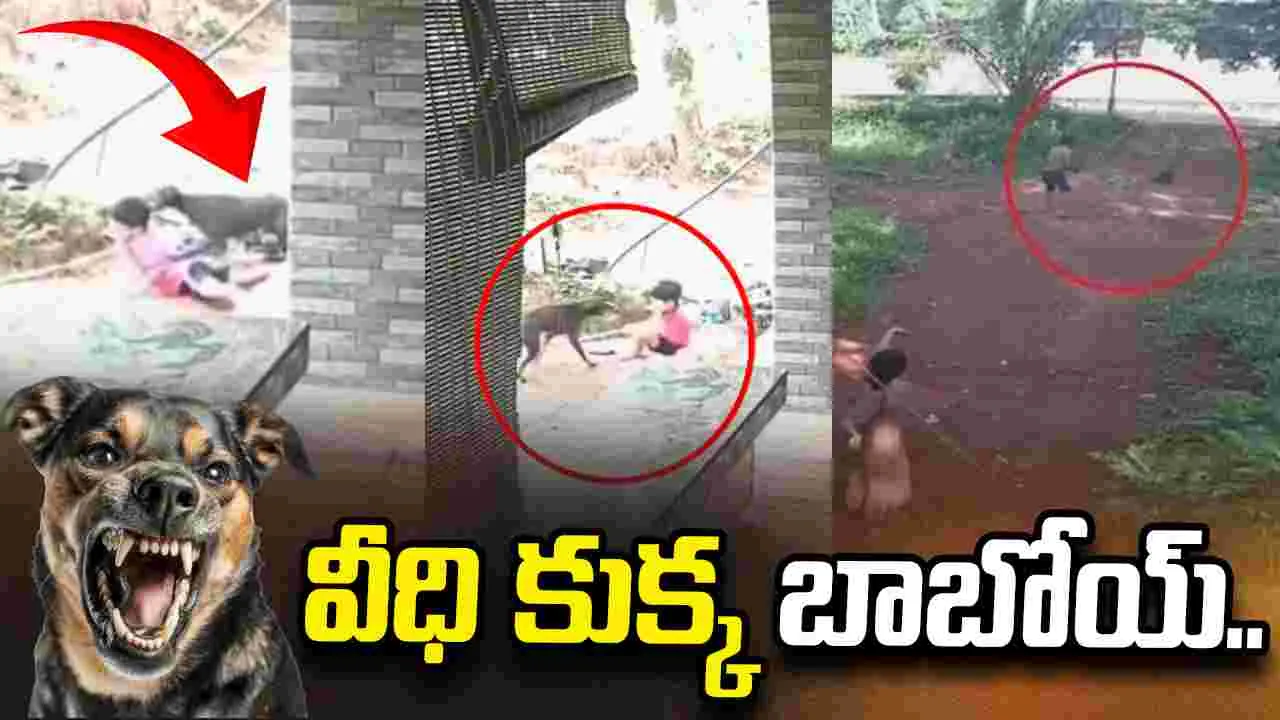 చిన్నారిపై వీధి కుక్క దాడి.. కాపాడేందుకు మెుదటి అంతస్తు నుంచి దూకిన సోదరుడు..