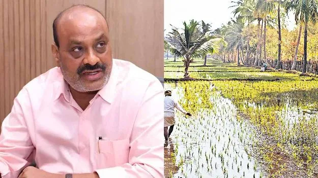 2024 ఖరీఫ్ పంటల బీమా బకాయిల విడుదలకు కేంద్రం గ్రీన్ సిగ్నల్