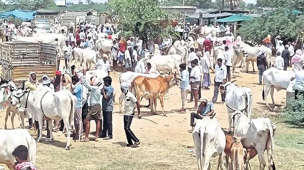 ఆదాయం ఫుల్‌.. వసతులు నిల్‌