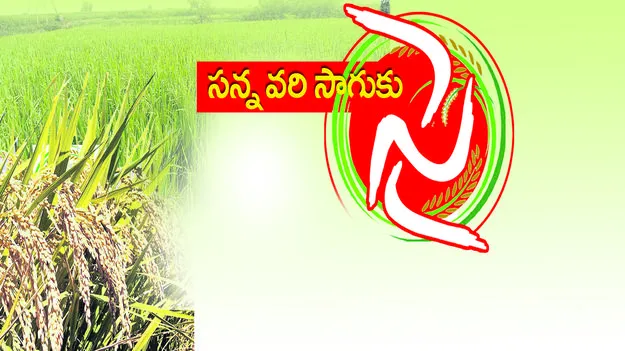 సన్న వరి సాగుకు సై