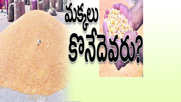 మక్కలు కొనేదెవరు?