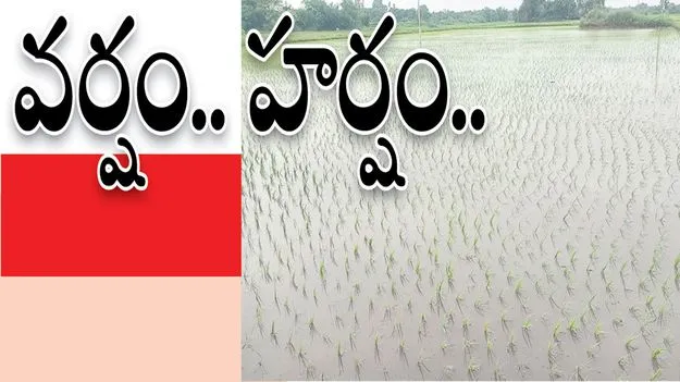 వర్షం.. రైతుల్లో హర్షం