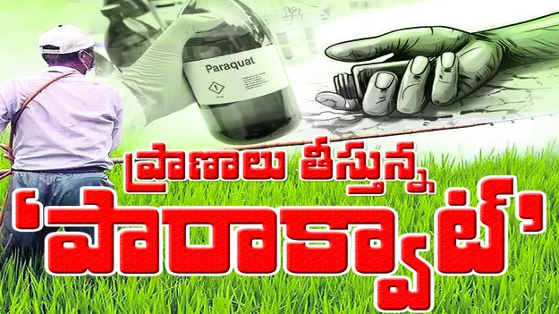 ప్రాణాలు తీస్తున్న... ‘పారాక్వాట్‌ ’