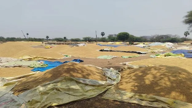  ధాన్యం కొనుగోళ్లలో మారని తీరు
