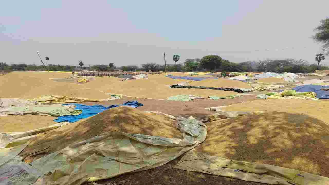 ధాన్యం కొనుగోళ్లలో మారని తీరు