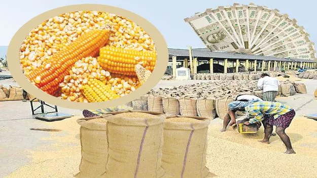  సిరుల పంట