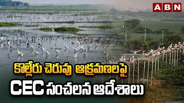 కొల్లేరు అక్రమ చేపల చెరువుల వివాదంలో సీఈసీ సంచలన ఆదేశాలు