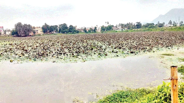   Koneru   వెంకటరాయుని కోనేరుకు మహర్దశ