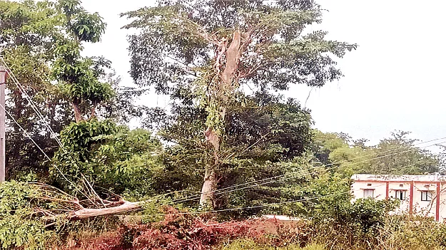 Whoa... Strong Winds! వామ్మో.. గాలులు