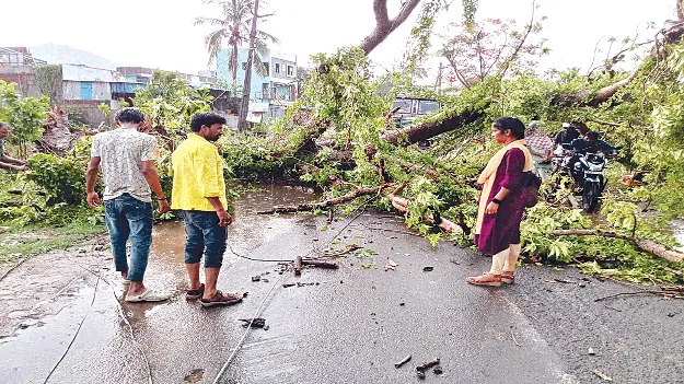 Gusty Winds, Growing Panic! హోరుగాలి.. హడలి!