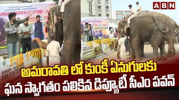 పార్వతీపురం మన్యం జిల్లాకు కుంకీ ఏనుగుల తరలింపు.. మంగళగిరిలో పవన్ స్వాగతం
