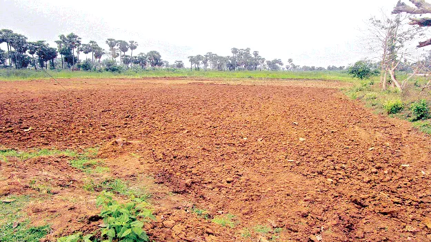 భూసార కార్డులేవీ?