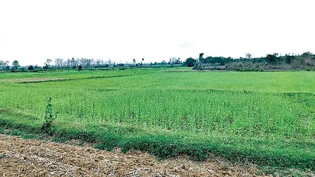  Fifth Phase of Resurvey ఐదో విడత రీ సర్వేకు సమాయత్తం